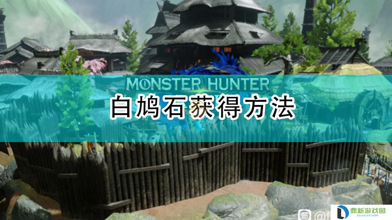 怪物猎人崛起白鸠石在哪里挖（白鸠石采集方法介绍）