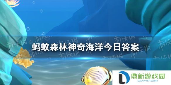 海狮的胡须有什么用 神奇海洋4月11日答案最新