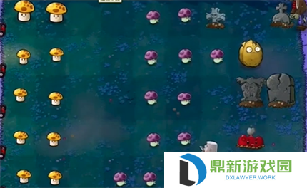 PVZ抽卡版冒险模式2-2过关攻略分享