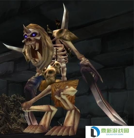 阿卡纳精华如何获得（阿卡纳护腿值得做吗）