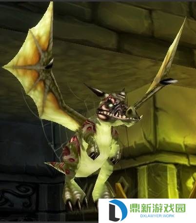 阿卡纳精华如何获得（阿卡纳护腿值得做吗）