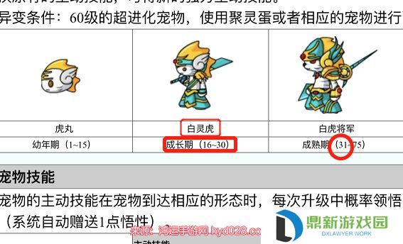 造梦西游3白灵虎多少级可以进化（白灵虎打法技巧攻略）