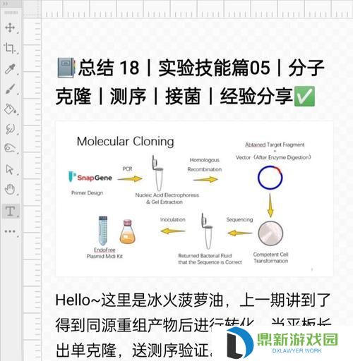 克隆装备技能选择攻略（充分利用克隆技能，打造最强装备）