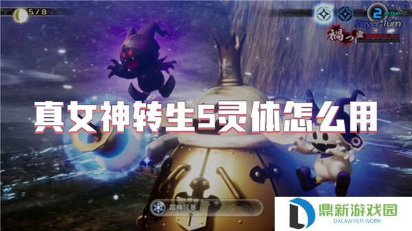 真女神转生5灵体怎么用