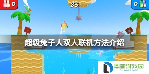 疯狂兔子人怎么联机-疯狂兔子人双人联机攻略